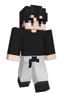 IKUN11777 Minecraft avatar full body