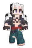 ILAE22 Minecraft avatar full body