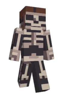 ILovePolannd Minecraft avatar full body