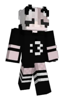 IMJORDEN3 Minecraft avatar full body