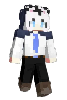 IM_WT Minecraft avatar full body