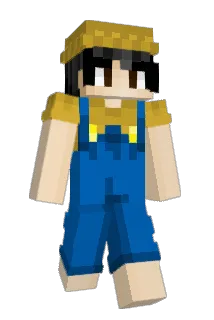 IMainFarming Minecraft avatar full body