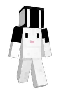 IMcoolOK Minecraft avatar full body