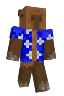 INGJMRR Minecraft avatar full body