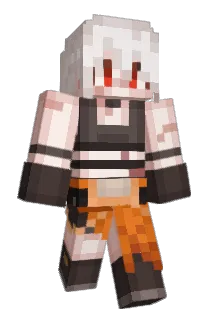 INN_2002 Minecraft avatar full body