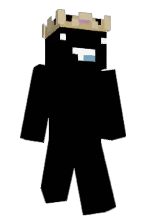 INSANO101 Minecraft avatar full body