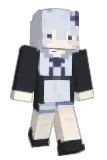 IN_1231 Minecraft avatar full body
