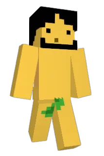 IRI1dlfdl Minecraft avatar full body