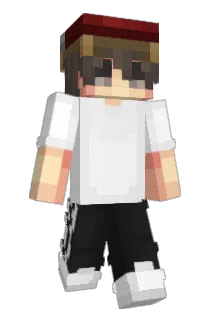 IRNXHCAT Minecraft avatar full body