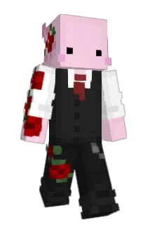 IRVvvvv Minecraft avatar full body
