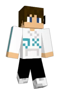 IS030 Minecraft avatar full body