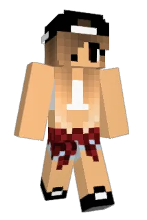 ISA2017 Minecraft avatar full body