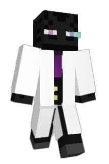 ISE_Will Minecraft avatar full body