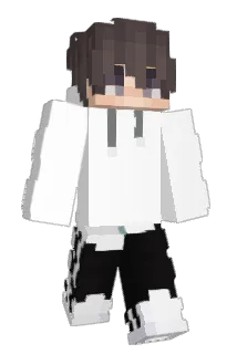 ISlide_ Minecraft avatar full body