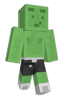 ITAMARETZ55 Minecraft avatar full body
