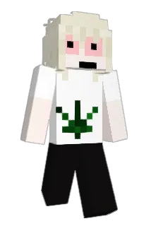 ITecse Minecraft avatar full body