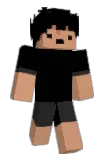 IZV10 Minecraft avatar full body