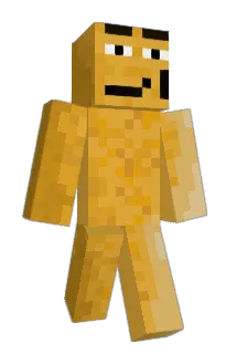 I__f Minecraft avatar full body