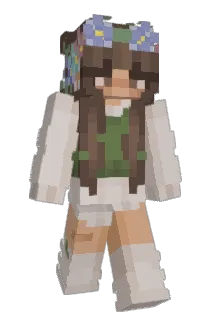 I_member101 Minecraft avatar full body
