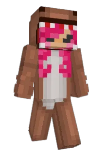 Iateasock Minecraft avatar full body