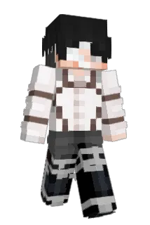 IbraDara Minecraft avatar full body