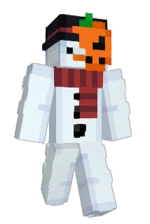 Minecraft-Avatar von IceRealBird: ganzer Körper