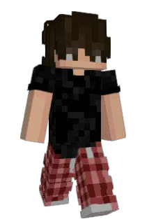 IcedTester Minecraft avatar full body
