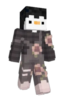 Icrin160 Minecraft avatar full body