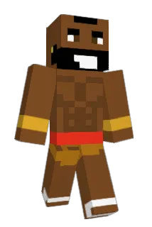 IcyWolf9870 Minecraft avatar full body