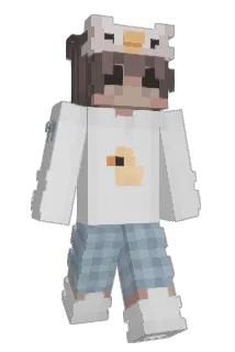 IdanHami1 Minecraft avatar full body