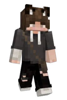 Idc43 Minecraft avatar full body