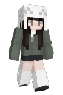 Idixwayy Minecraft avatar full body