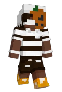 Minecraft-Avatar von IdleLight: ganzer Körper