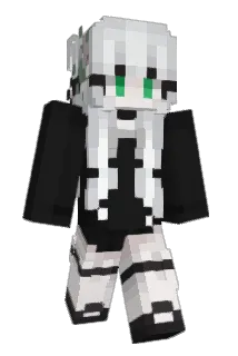 Iga458 Minecraft avatar full body