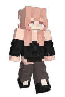 Igelmutter Minecraft avatar full body