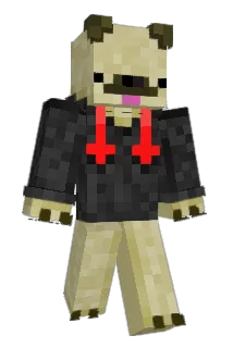 Iggy4807 Minecraft avatar full body