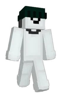 IgnNever Minecraft avatar full body