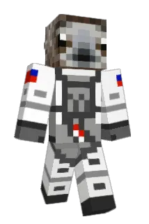 Igohamish Minecraft avatar full body