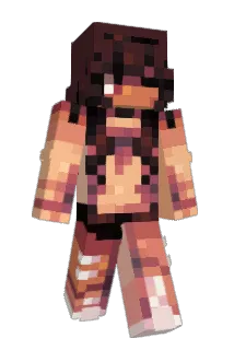 Iight09 Minecraft avatar full body