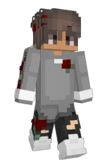 IlyRooster Minecraft avatar full body