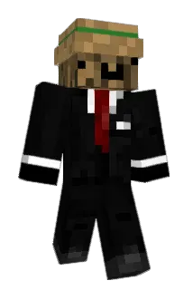 ImBobrous Minecraft avatar full body