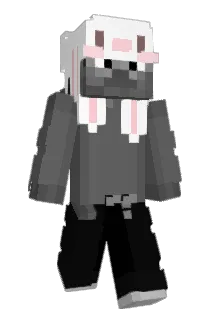 ImEdgin Minecraft avatar full body