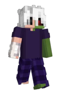 ImFz Minecraft avatar full body