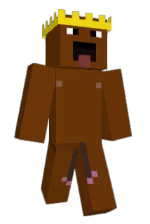 ImJoaooBr_ Minecraft avatar full body
