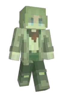 ImNotATurtle6 Minecraft avatar full body