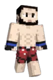 ImToast_ Minecraft avatar full body