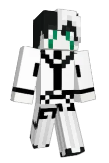 Im_____ Minecraft avatar full body