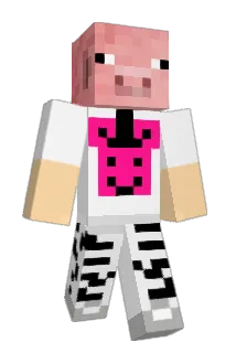 ImaWildCat Minecraft avatar full body