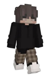 ImagineDN Minecraft avatar full body