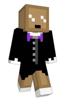 Imdumb5738 Minecraft avatar full body
